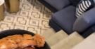 most viewed right now